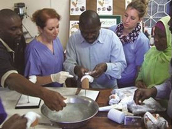 Picture of Loan of Training Models